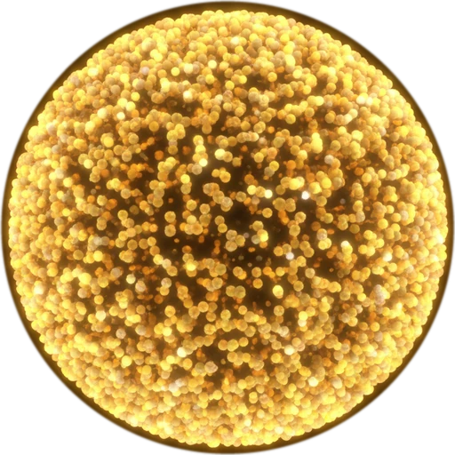 Nucleus, level 4