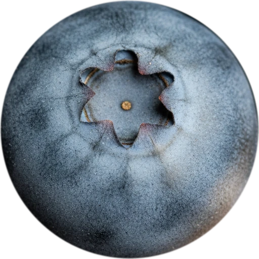 Blueberry, level 1