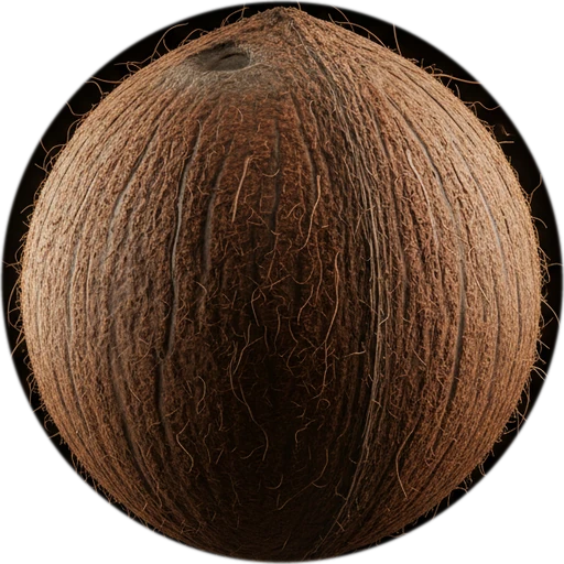 Coconut, level 15